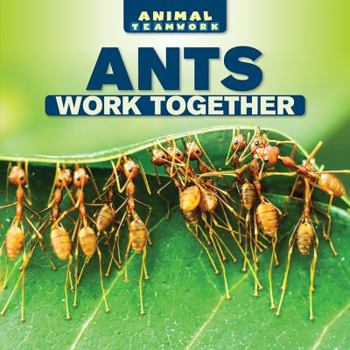 Library Binding Ants Work Together Book