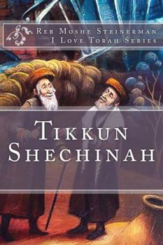 Paperback Tikkun Shechinah Book