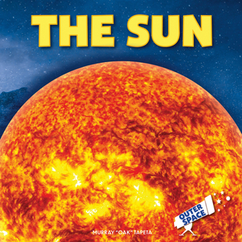 Paperback The Sun Book