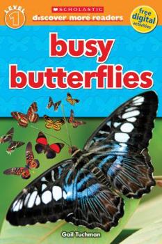 Paperback Busy Butterflies Book