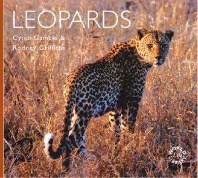 Paperback Leopards Book