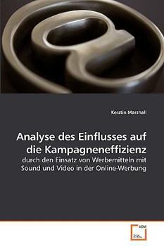 Analyse des Einflusses auf die Kampagneneffizienz: durch den Einsatz von Werbemitteln mit Sound und Video in der Online-Werbung