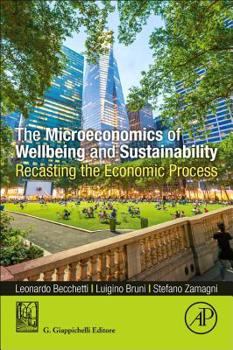 Paperback The Microeconomics of Wellbeing and Sustainability: Recasting the Economic Process Book