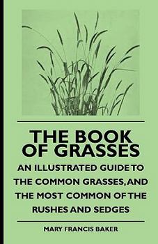 Paperback The Book of Grasses - An Illustrated Guide to the Common Grasses, and the Most Common of the Rushes and Sedges Book
