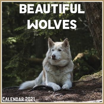 Paperback Beautiful Wolves Calendar 2021: Official Beautiful Wolves Calendar 2021, 12 Months Book