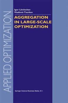 Paperback Aggregation in Large-Scale Optimization Book