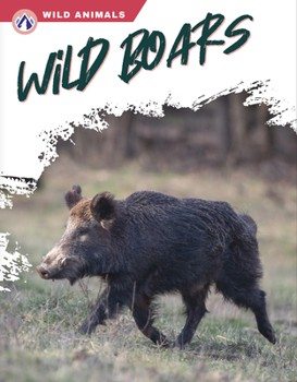 Paperback Wild Boars Book
