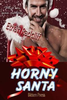 Paperback Horny Santa Book