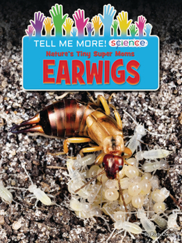 Paperback Nature's Tiny Super Moms Earwigs Book