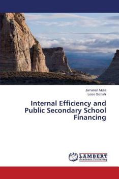 Paperback Internal Efficiency and Public Secondary School Financing Book