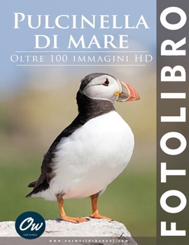 Paperback Pulcinella di mare: Fotolibro [Italian] Book