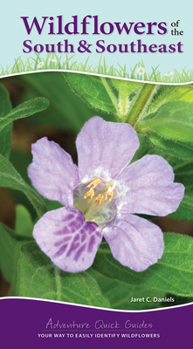 Spiral-bound Wildflowers of the South & Southeast: Your Way to Easily Identify Wildflowers Book