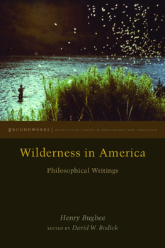 Paperback Wilderness in America: Philosophical Writings Book