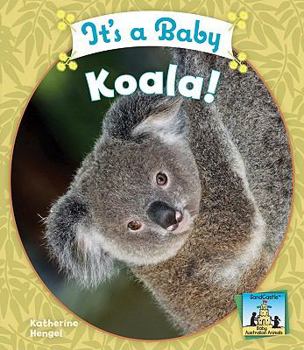 Library Binding It's a Baby Koala! Book