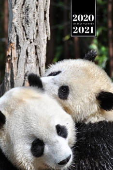 Panda Bear Week Planner Weekly Organizer Calendar 2020 / 2021 - Romantic Couple: Cute Wildlife Animal Bullet Journal Notebook Diary in 6” x 9” Inch Pocket Size
