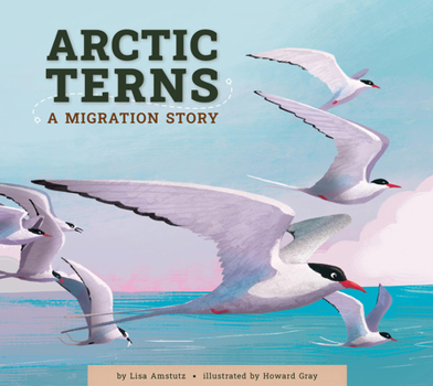 Arctic Terns: A Migration Story