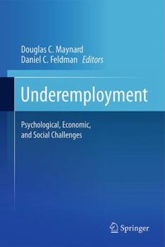 Hardcover Underemployment: Psychological, Economic, and Social Challenges Book