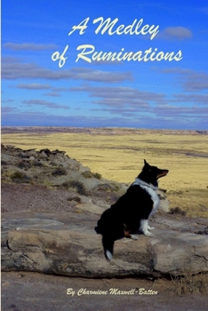 Paperback A Medley of Ruminations Book