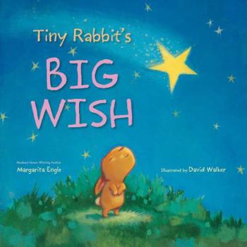 Hardcover Tiny Rabbit's Big Wish Book