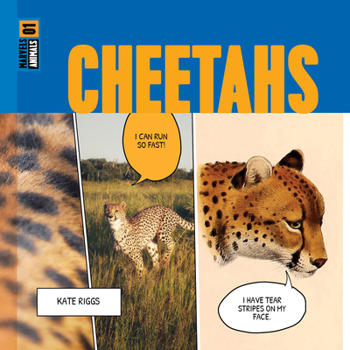 Hardcover Cheetahs Book
