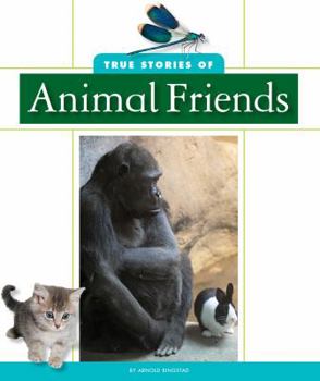 Library Binding True Stories of Animal Friends Book