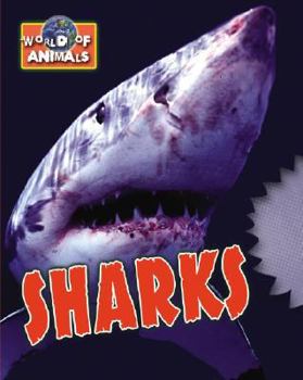 Library Binding Sharks Book