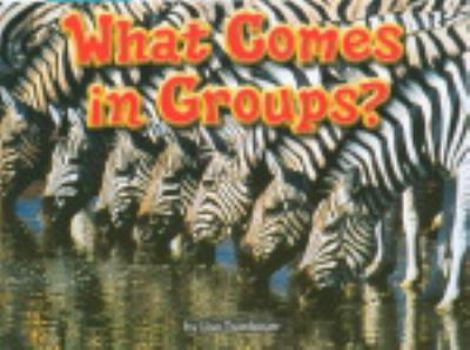 Paperback What Comes in Groups, Grades K-1 (Steck-Vaughn Shutterbug Books Leveled Readers: Math) Book