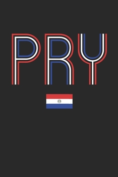 Vintage Paraguay Notebook - Paraguay Diary - Retro Paraguayan Flag Journal - Paraguay Gifts: Medium College-Ruled Journey Diary, 110 page, Lined, 6x9 (15.2 x 22.9 cm)