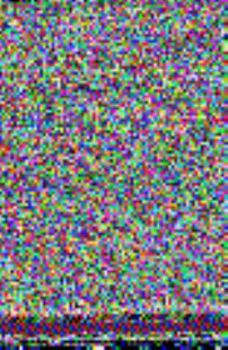 Paperback Live Again: A True Story of Overcoming Loss Book