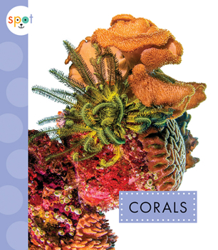 Corals - Book  of the Ocean Life Up Close