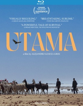 Blu-ray Utama Book