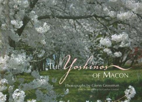Paperback The Yoshinos of Macon Book