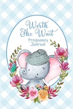 Worth the Wait: Pregnancy Journal. Peek-a-Boo Blue Gingham