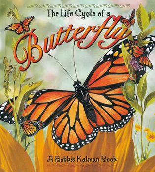 Paperback Butterfly Book