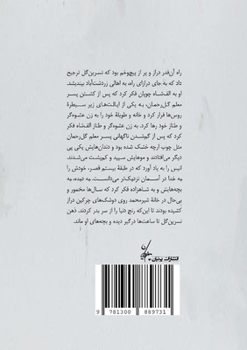 Paperback Char Dokhtare Zardosht [Persian] Book