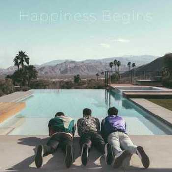 Vinyl Happiness Begins (2 LP) Book