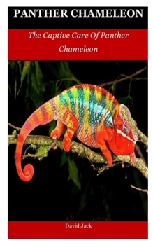 Paperback Panther Chameleon: The Captive Care Of Panther Chameleon Book