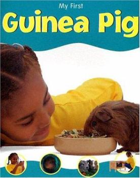 Guinea Pig (My First Series) - Book  of the My First Pet