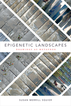 Paperback Epigenetic Landscapes: Drawings as Metaphor Book