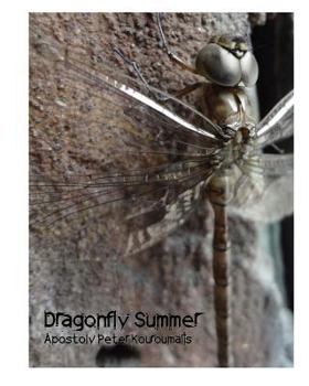 Paperback Dragonfly Summer Book