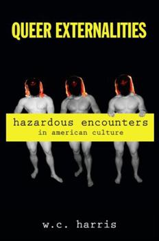 Queer Externalities: Hazardous Encounters in American Culture (SUNY series in Queer Politics and Cultures)