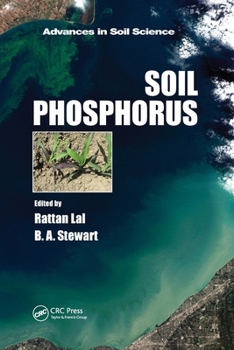 Paperback Soil Phosphorus Book