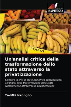 Paperback Un'analisi critica della trasformazione dello stato attraverso la privatizzazione [Italian] Book