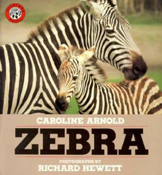 Paperback Zebra Book