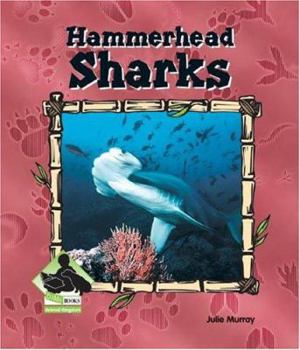 Hammerhead Sharks (Animal Kingdom Set II) - Book  of the Buddy Books