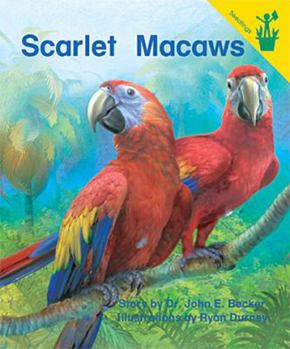 Paperback Early Reader: Scarlet Macaws Book