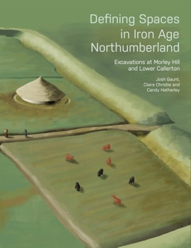 Paperback Defining Spaces in Iron Age Northumberland: Excavations at Morley Hill and Lower Callerton Book