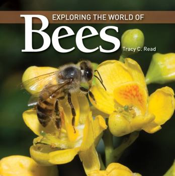 Paperback Exploring the World of Bees Book