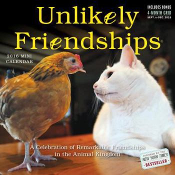Unlikely Friendships Mini Wall Calendar 2016
