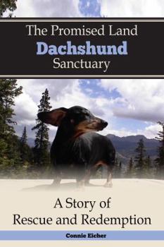 Paperback The Promised Land Dachshund Sanctuary Book